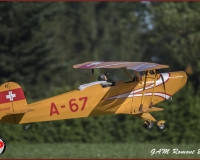 TSR Watermark - 0509